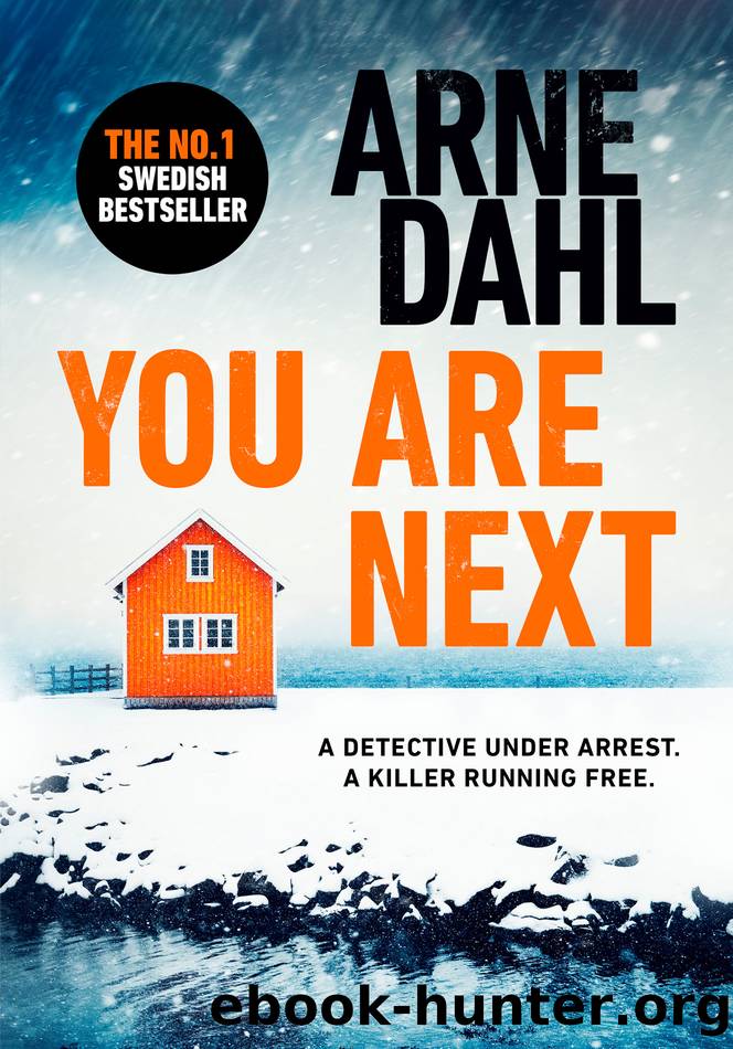 You Are Next by Arne Dahl