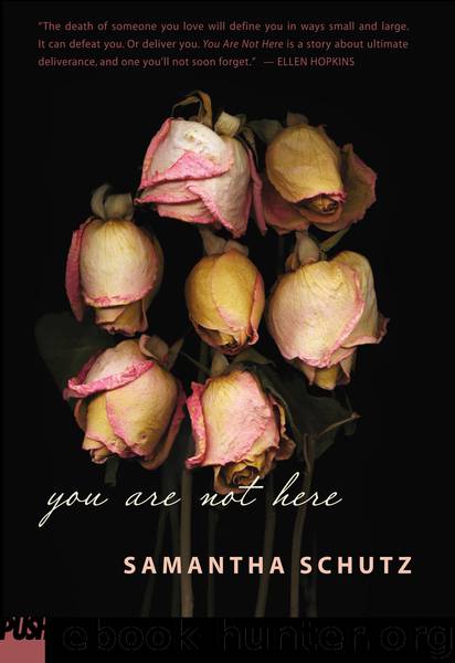 You Are Not Here by Samantha Schutz