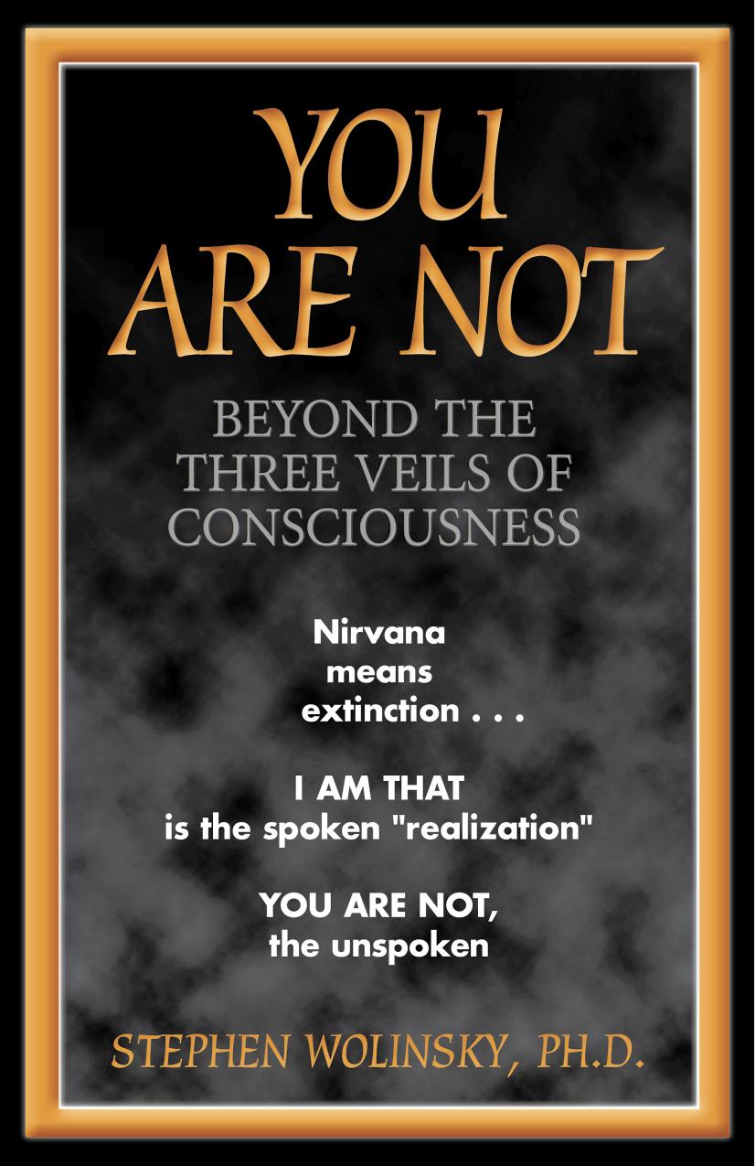 You Are Not: Beyond the Three Veils of Consciousness by Stephen H. Wolinsky