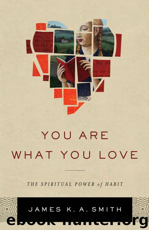 You Are What You Love: The Spiritual Power of Habit by Smith James K. A
