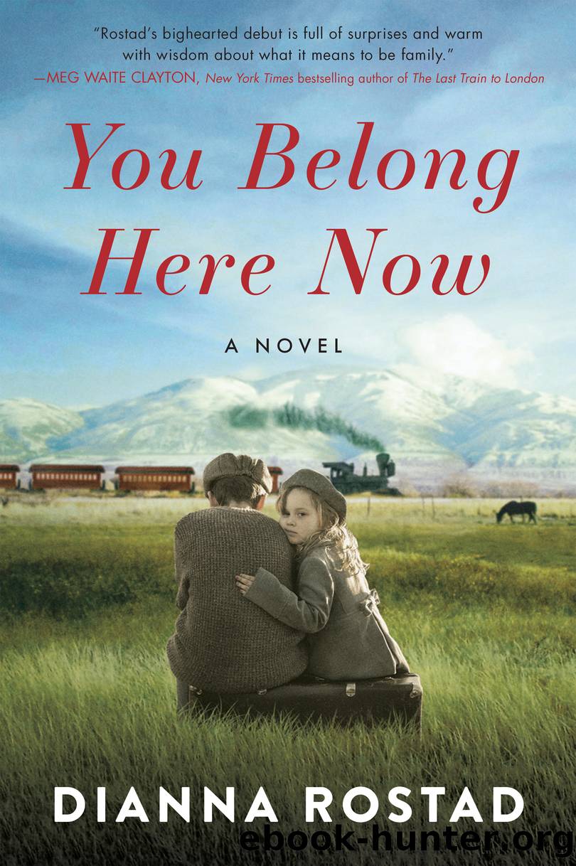 You Belong Here Now by Dianna Rostad