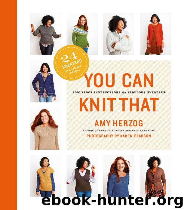 You Can Knit That by Amy Herzog
