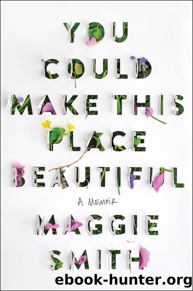 You Could Make This Place Beautiful: a Memoir by Maggie Smith