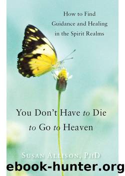 You Don't Have to Die to Go to Heaven by Susan Allison
