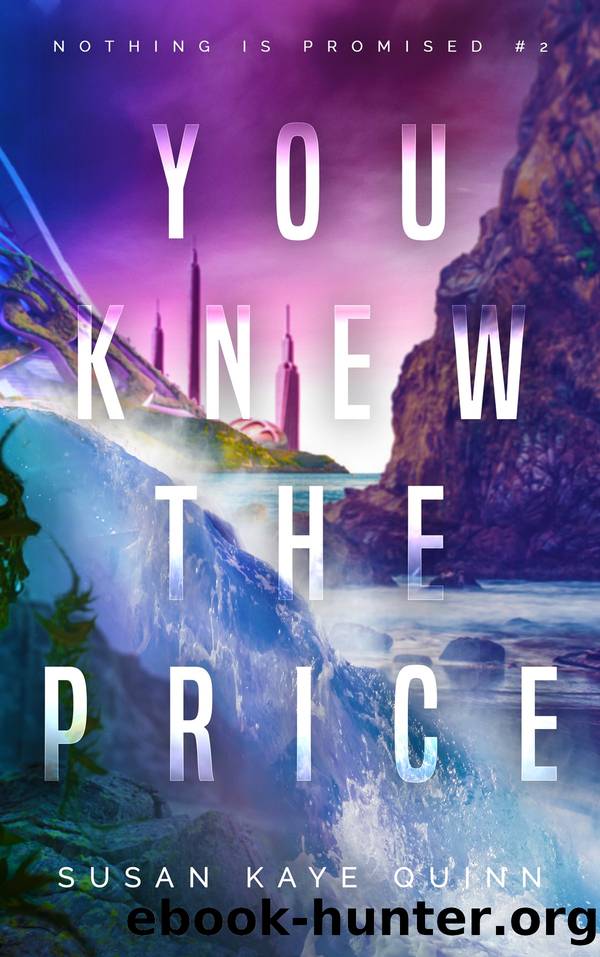 You Knew the Price by Susan Kaye Quinn