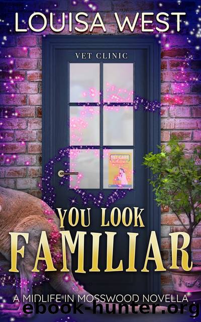 You Look Familiar by Louisa West