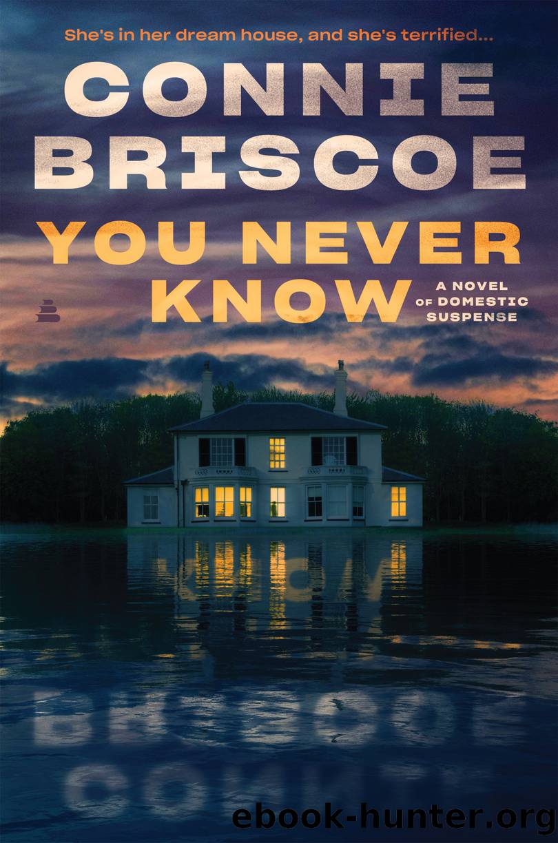 You Never Know by Connie Briscoe