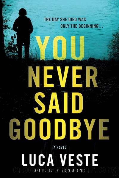 You Never Said Goodbye by Luca Veste
