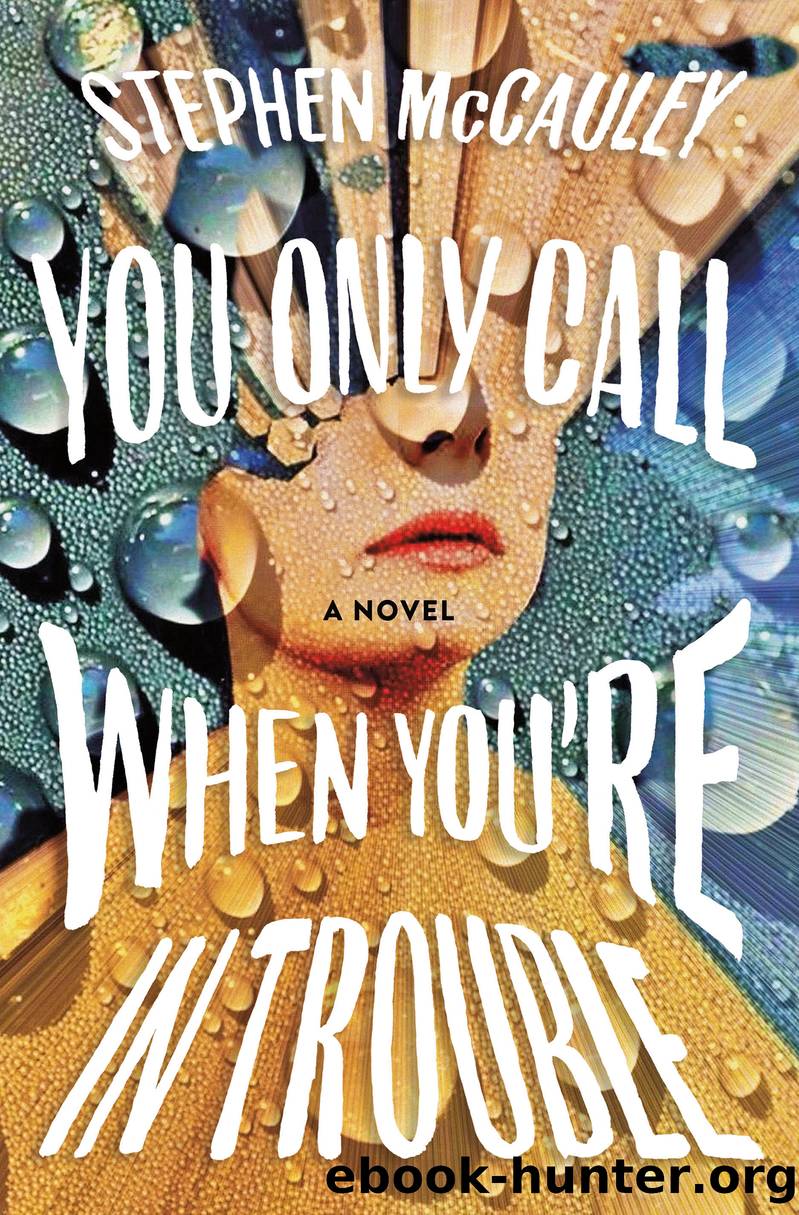 You Only Call When You're in Trouble by Stephen McCauley