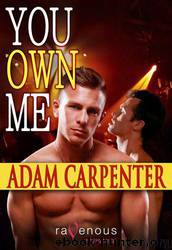 You Own Me by Carpenter Adam