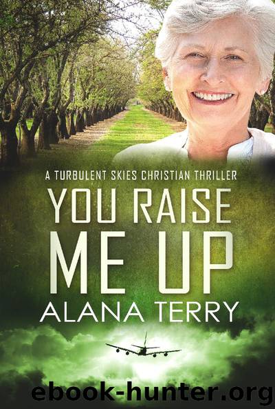 You Raise Me Up by Alana Terry