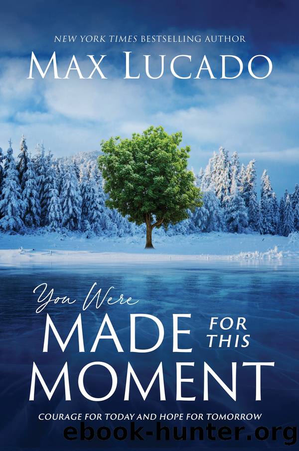 You Were Made for This Moment by Max Lucado