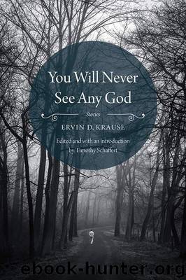 You Will Never See Any God: Stories by Krause Ervin D