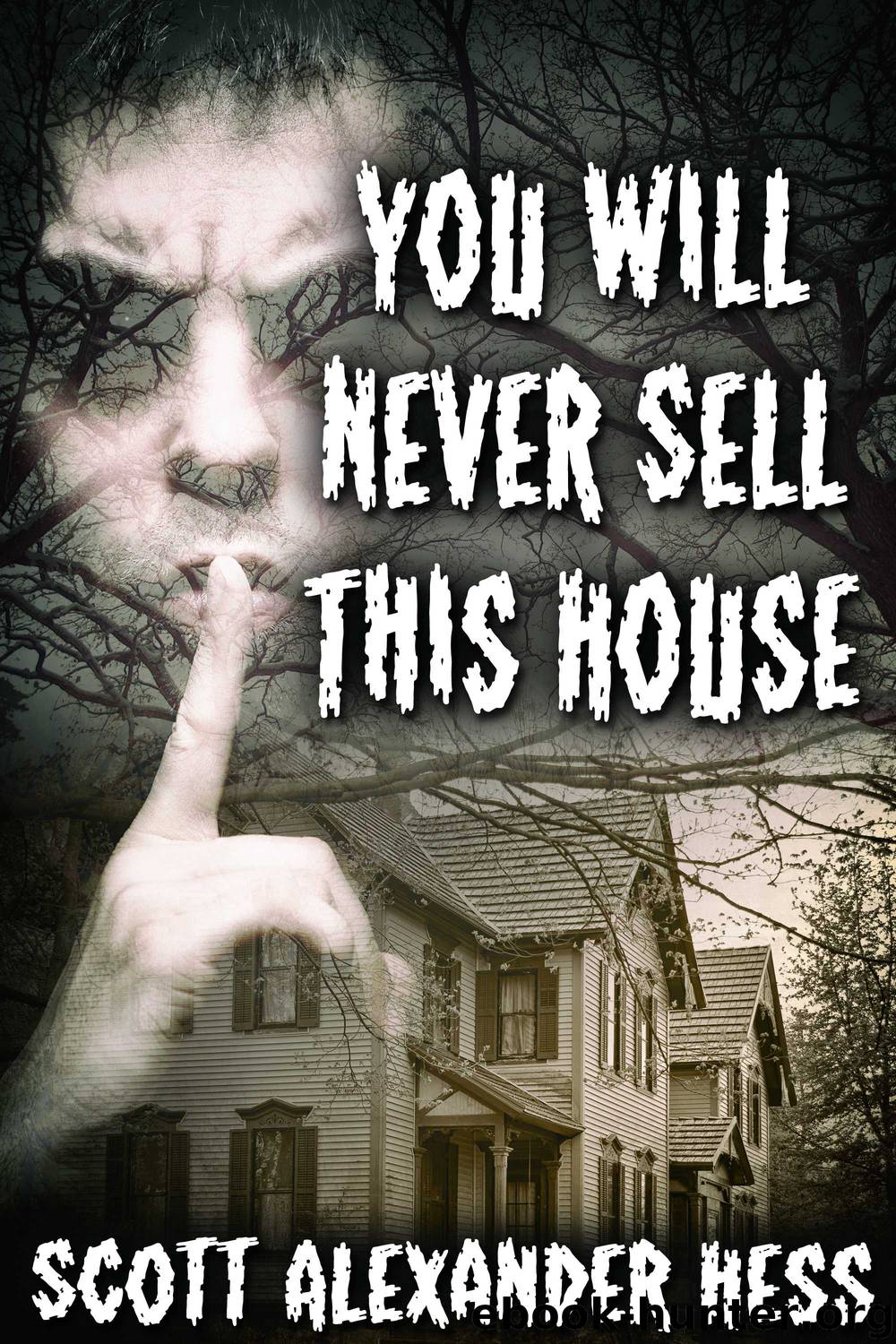 You Will Never Sell This House by Scott Alexander Hess