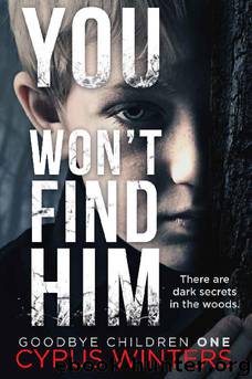 You Won't Find Him by Cyrus Winters