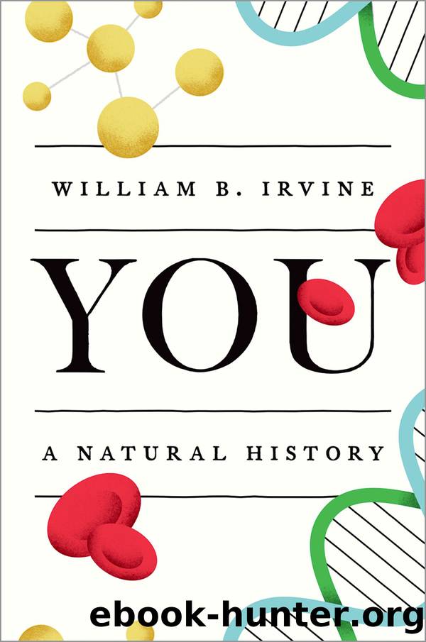 You by William B. Irvine