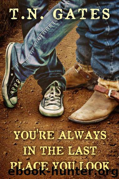 You're Always in the Last Place You Look by T.N. Gates