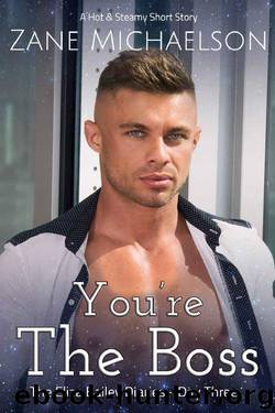 You're The Boss: The Eliza Bailey Diaries - Day Three by Zane Michaelson