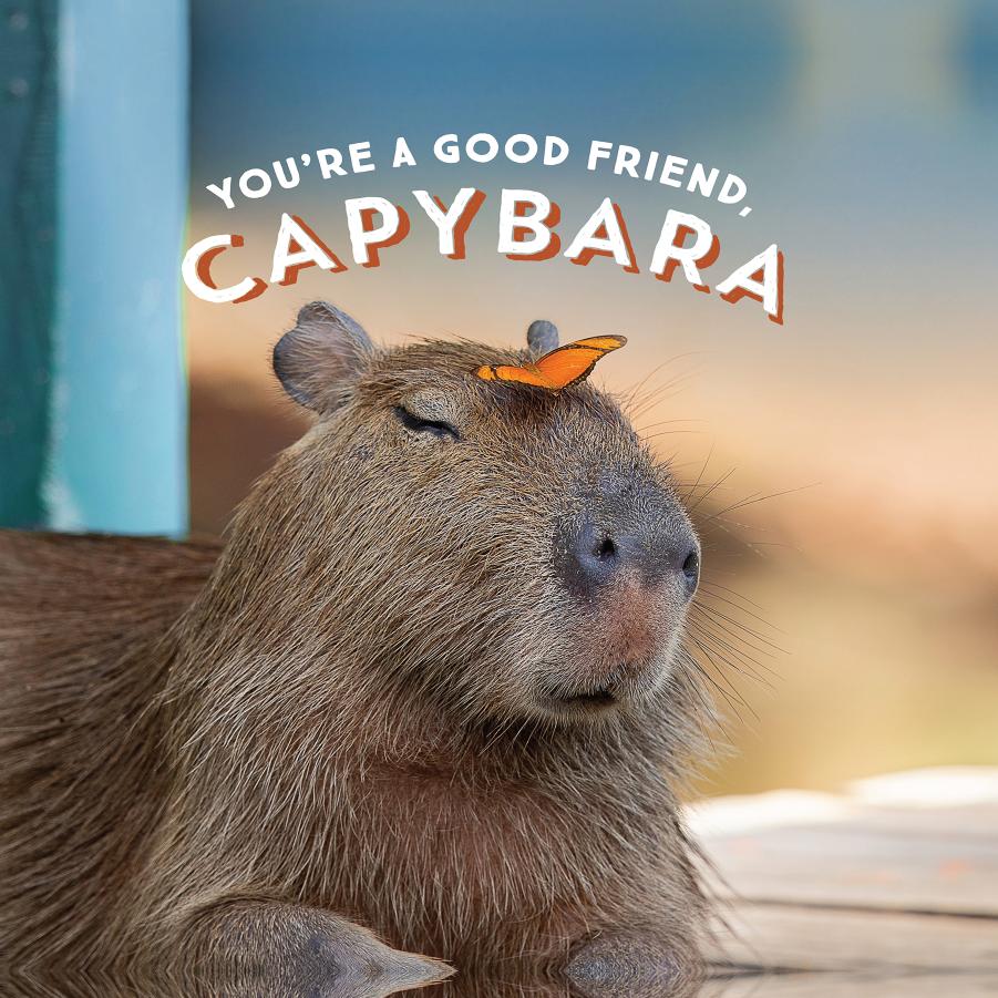 You're a Good Friend, Capybara by Kim Di Santo