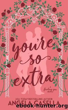 You're so Extra: An Enemies to Lovers, Opposites Attract, Forced Proximity Romantic Comedy (Finding You Book 1) by Angela Casella