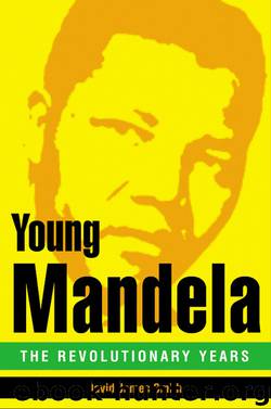 Young Mandela by David James Smith
