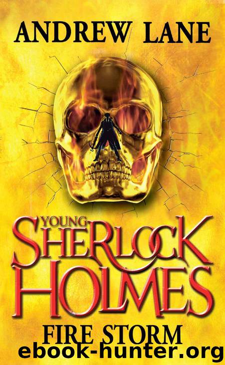 Young Sherlock Holmes: Fire Storm by Lane Andrew