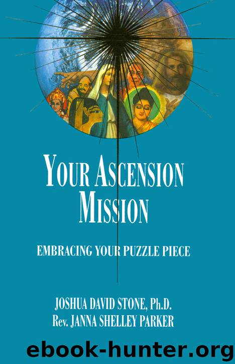 Your Ascension Mission: Embracing Your Puzzle Piece (Complete Ascension Book 10) by Stone Joshua David