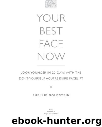 Your Best Face Now by Shellie Goldstein