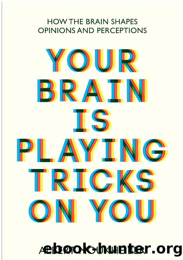 Your Brain Is Playing Tricks On You by Albert Moukheiber