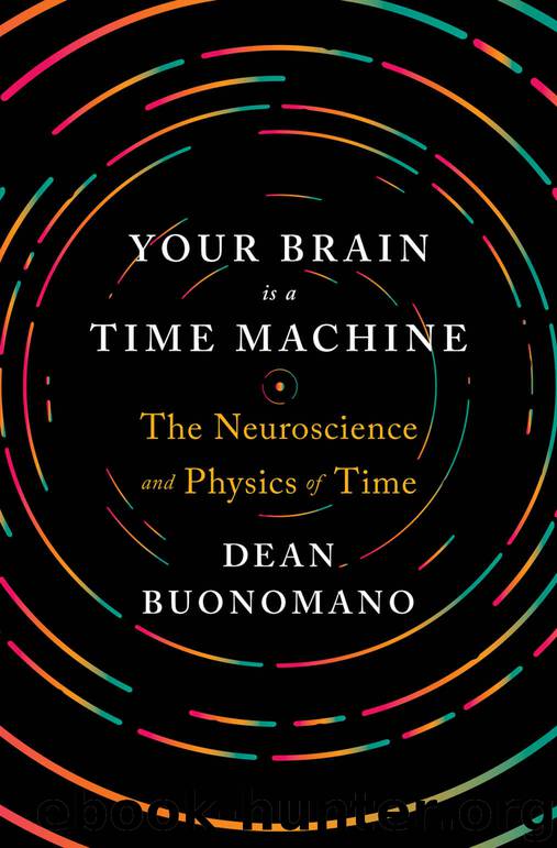 Your Brain Is a Time Machine: The Neuroscience and Physics of Time by Dean Buonomano