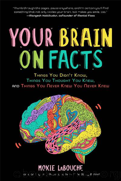 Your Brain on Facts by Moxie LaBouche