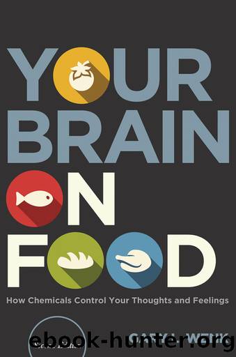 Your Brain on Food by Professor Gary L. Wenk