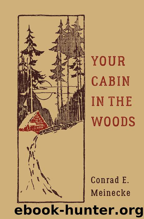 Your Cabin in the Woods by Conrad E. Meinecke & Victor Aures