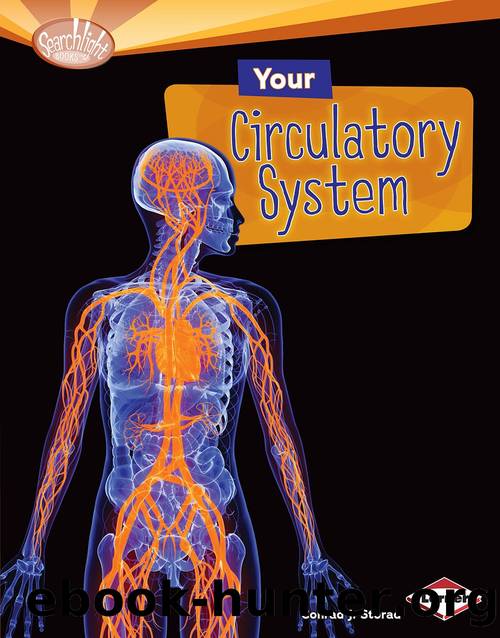Your Circulatory System by Conrad J. Storad