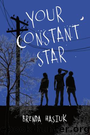 Your Constant Star by Brenda Hasiuk