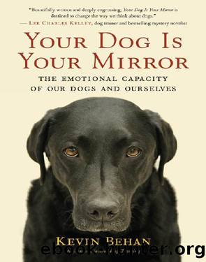 Your Dog Is Your Mirror by Kevin Behan