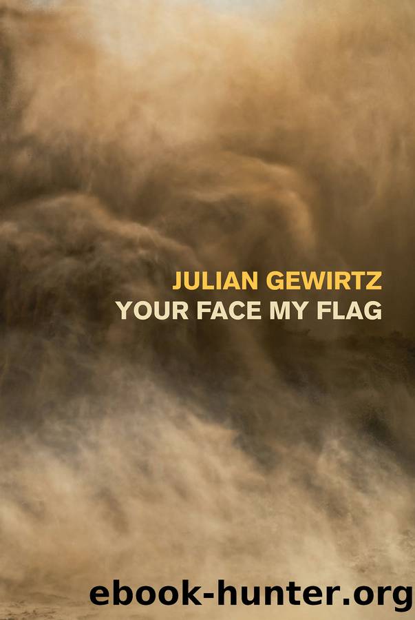 Your Face My Flag by Julian Gewirtz