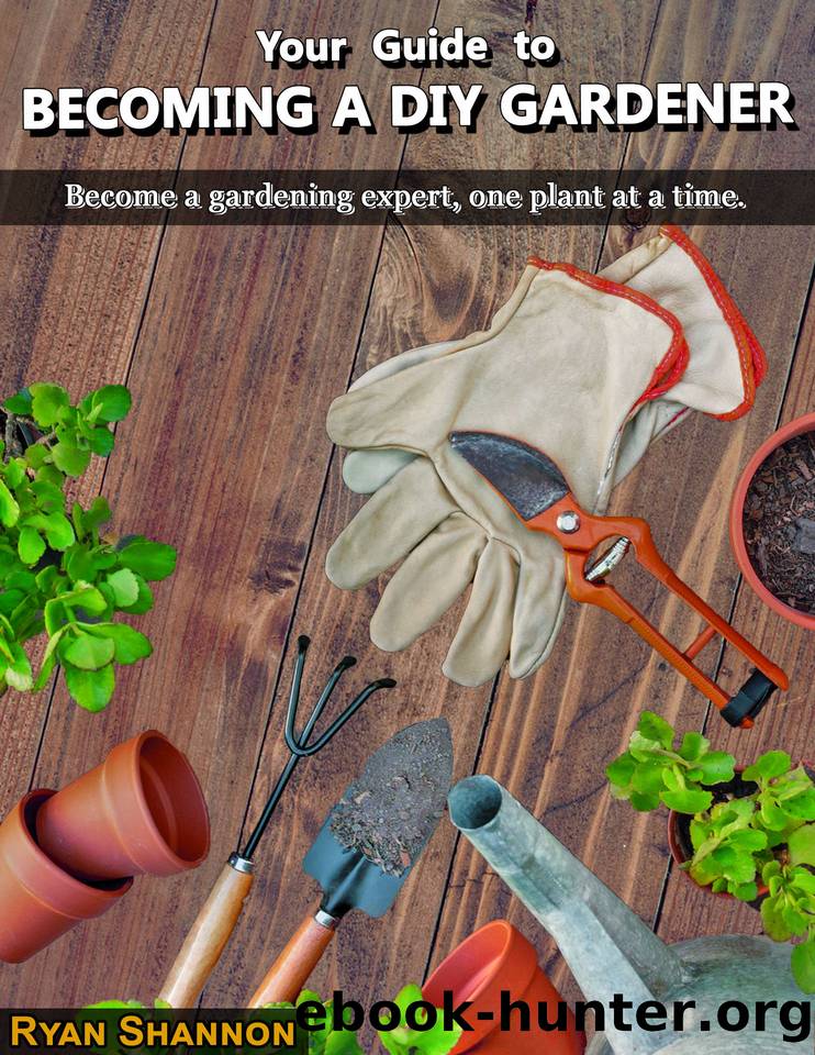 Your Guide to Becoming a DIY Gardener by Ryan Shannon