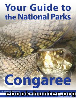 Your Guide to Congaree National Park by Michael Joseph Oswald