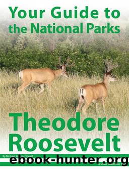 Your Guide to Theodore Roosevelt National Park by Michael Joseph Oswald