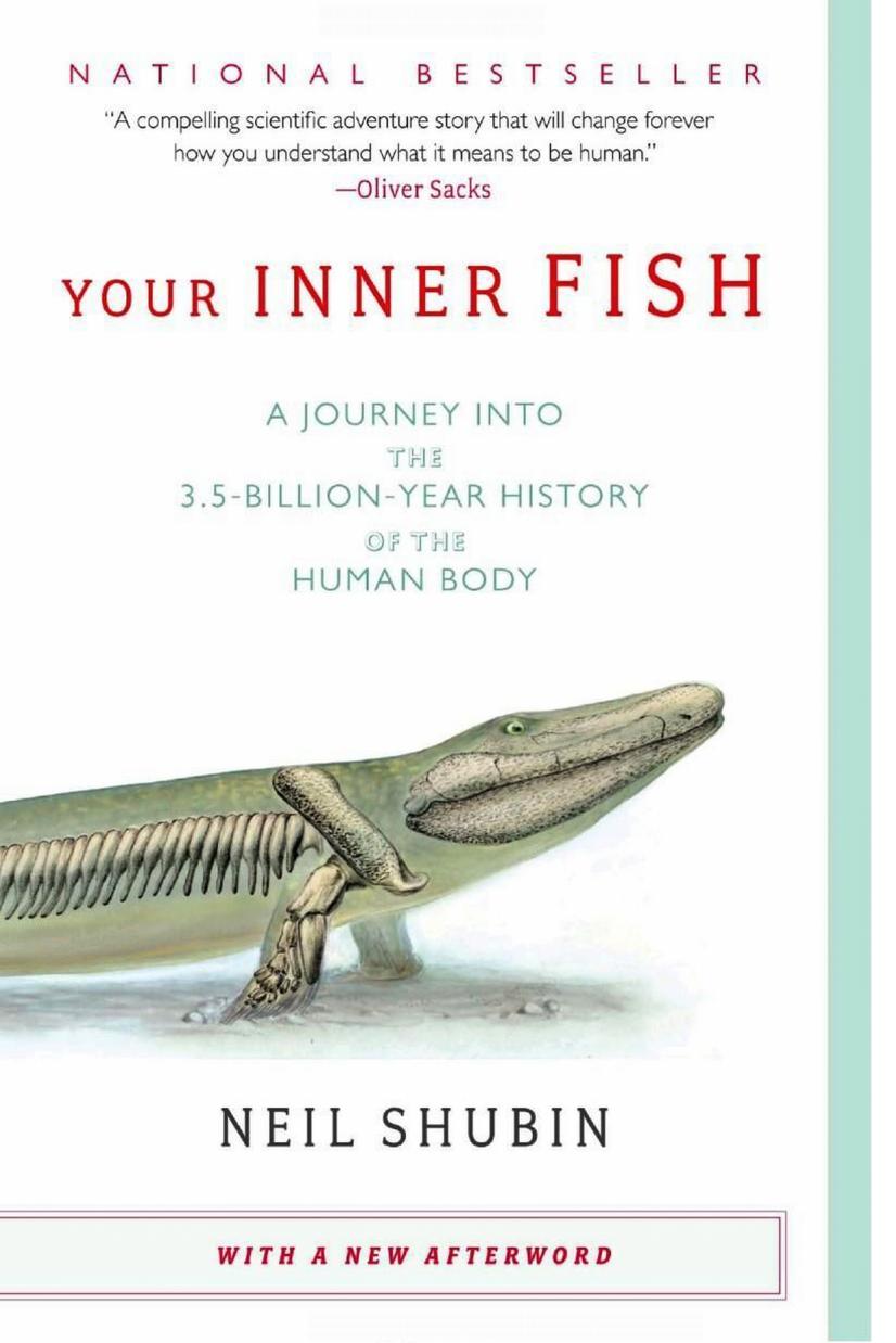 Your Inner Fish: A Journey into the 3.5-Billion-Year History of the Human Body by Neil Shubin