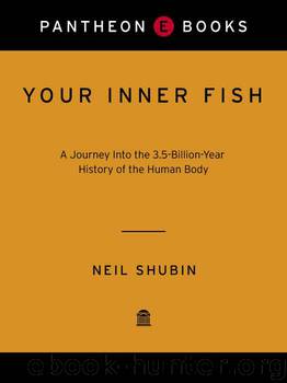 Your Inner Fish: A Journey into the 3.5-Billion-Year History of the Human Body by Shubin Neil