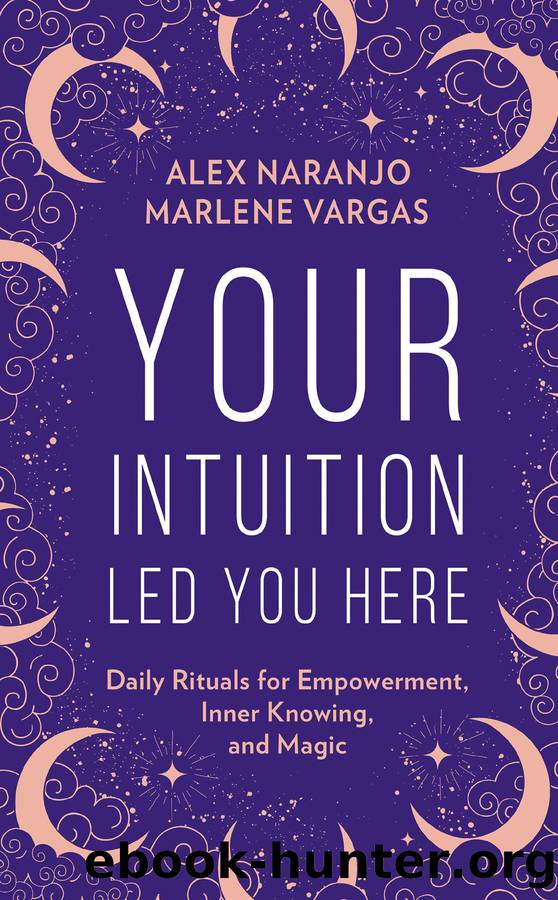 Your Intuition Led You Here by Alex Naranjo & Marlene Vargas