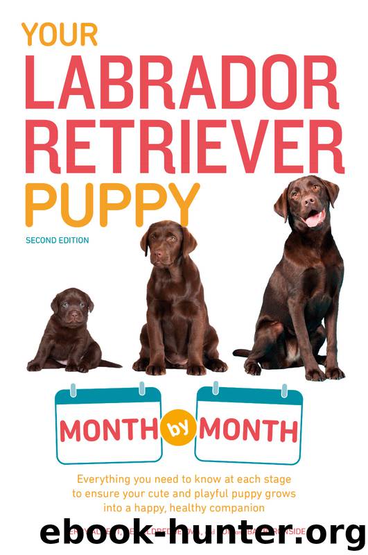 Your Labrador Retriever Puppy Month by Month by Terry Albert & Deb Eldredge & DVM & Don & Barb Ironside