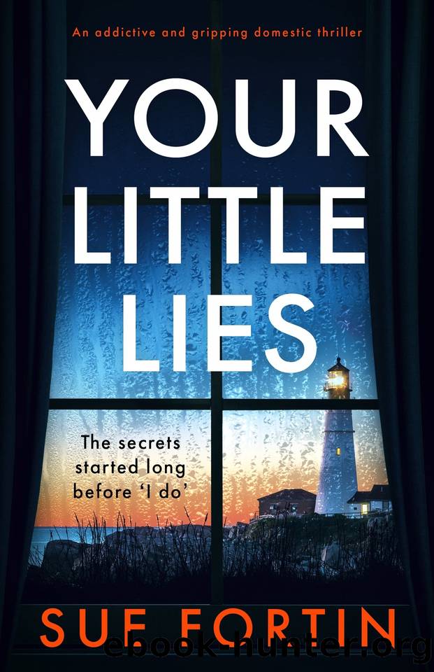 Your Little Lies: An addictive and gripping domestic thriller by Sue Fortin