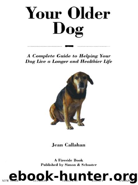 Your Older Dog by Jean Callahan