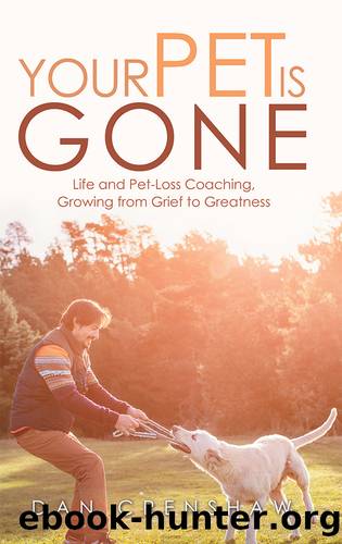 Your Pet Is Gone by Dan Crenshaw