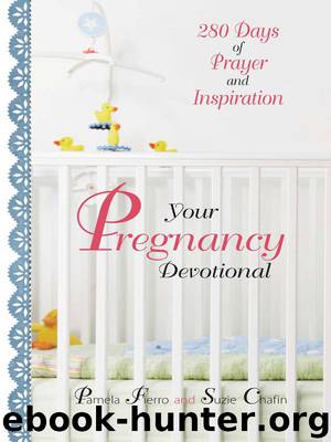 Your Pregnancy Devotional by Pamela Fierro & Suzie Chafin