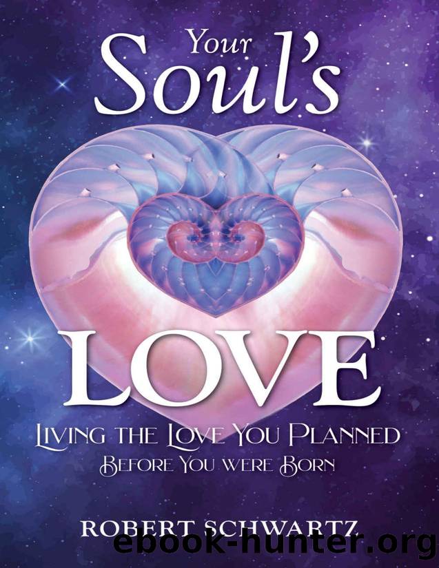 Your Soul's Love: Living the Love You Planned Before You Were Born by Robert Schwartz
