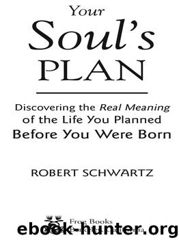 Your Soul's Plan - Discovering the Real Meaning of the Life You Planned Before You Were Born by Robert Schwartz